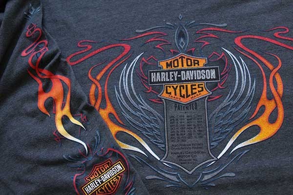 00s USA製 Hanes HARLEY-DAVIDSONハーレー ダビッドソン フレイムス