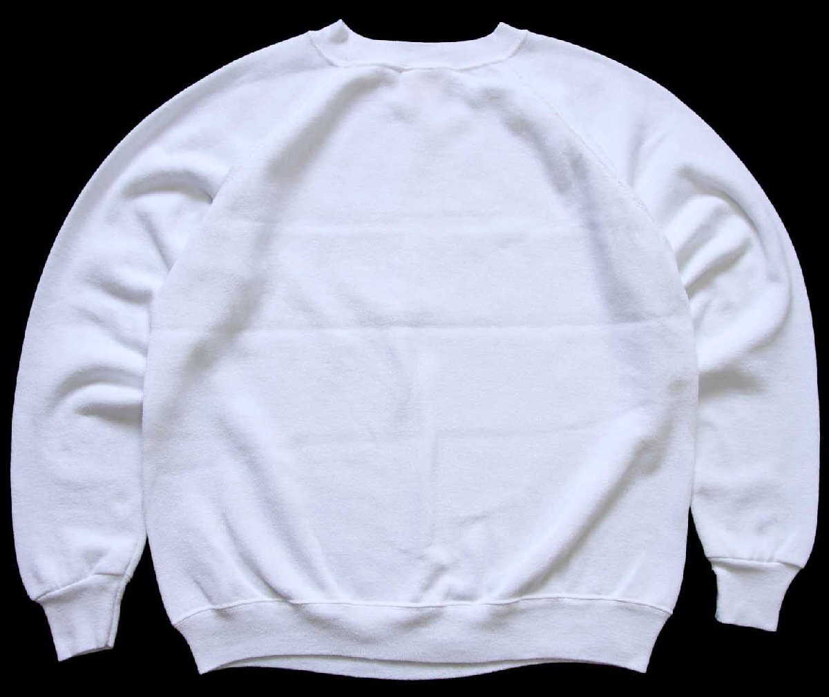 90s USA製 Hanes SPORT 無地 スウェット 白 L☆ブランク - Sixpacjoe