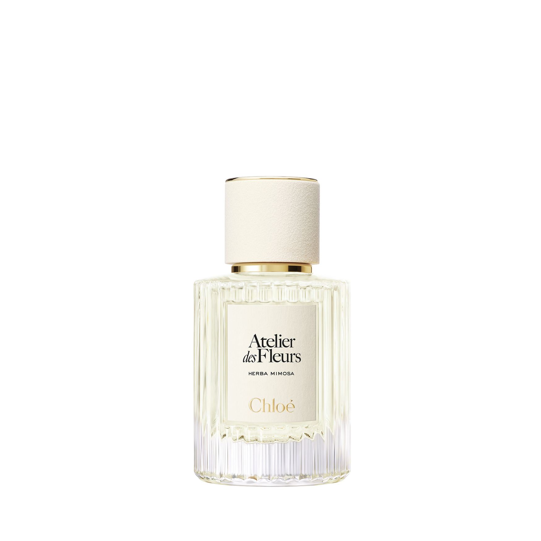 Chloé Atelier des Fleurs Herba Mimosa Eau de Parfum | Space NK