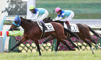 京都新馬戦】武豊09年12月以来「アドマイヤ」の勝負服でアドマイヤ
