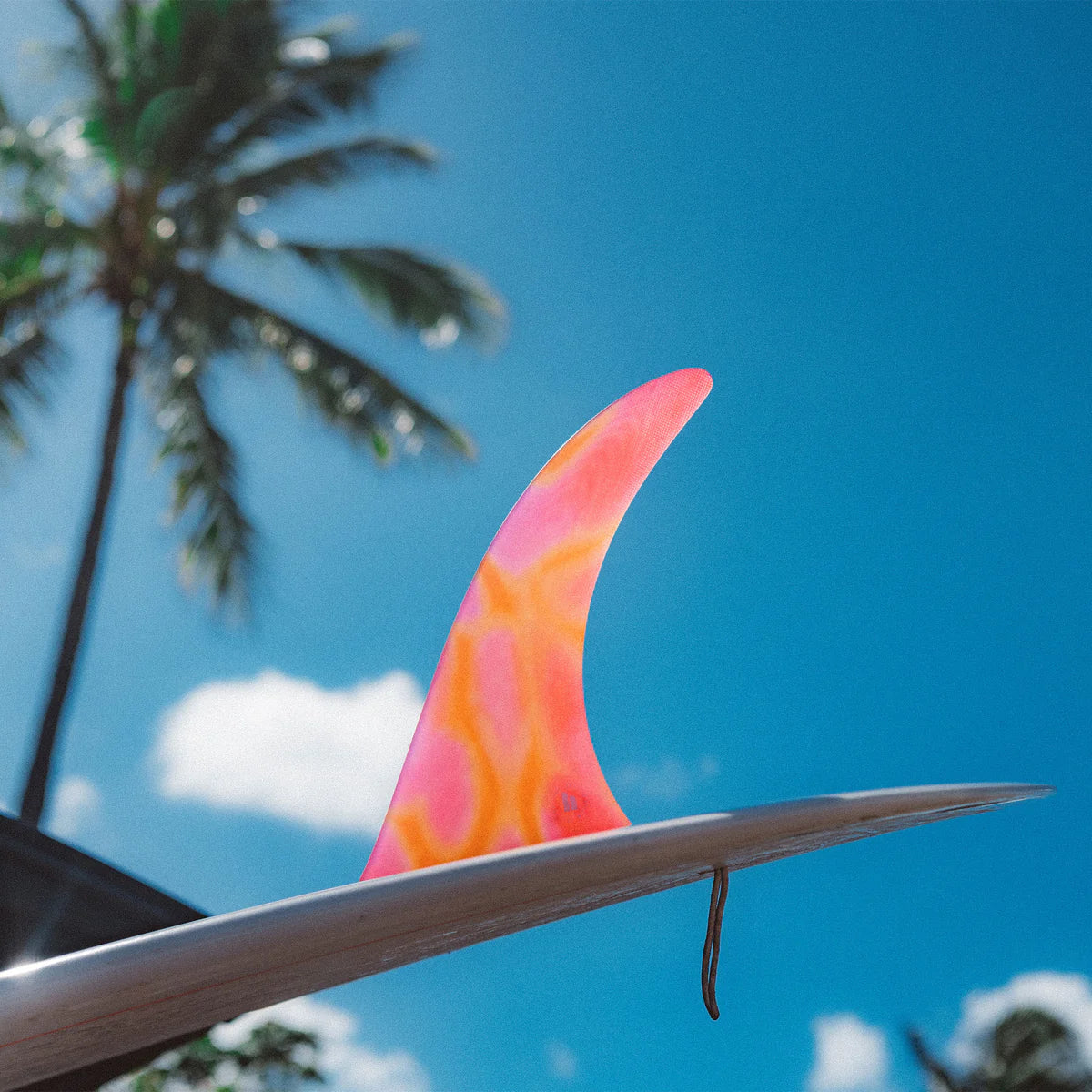 FCS II KELIA MONIZ LONGBOARD FIN - FCS JAPAN