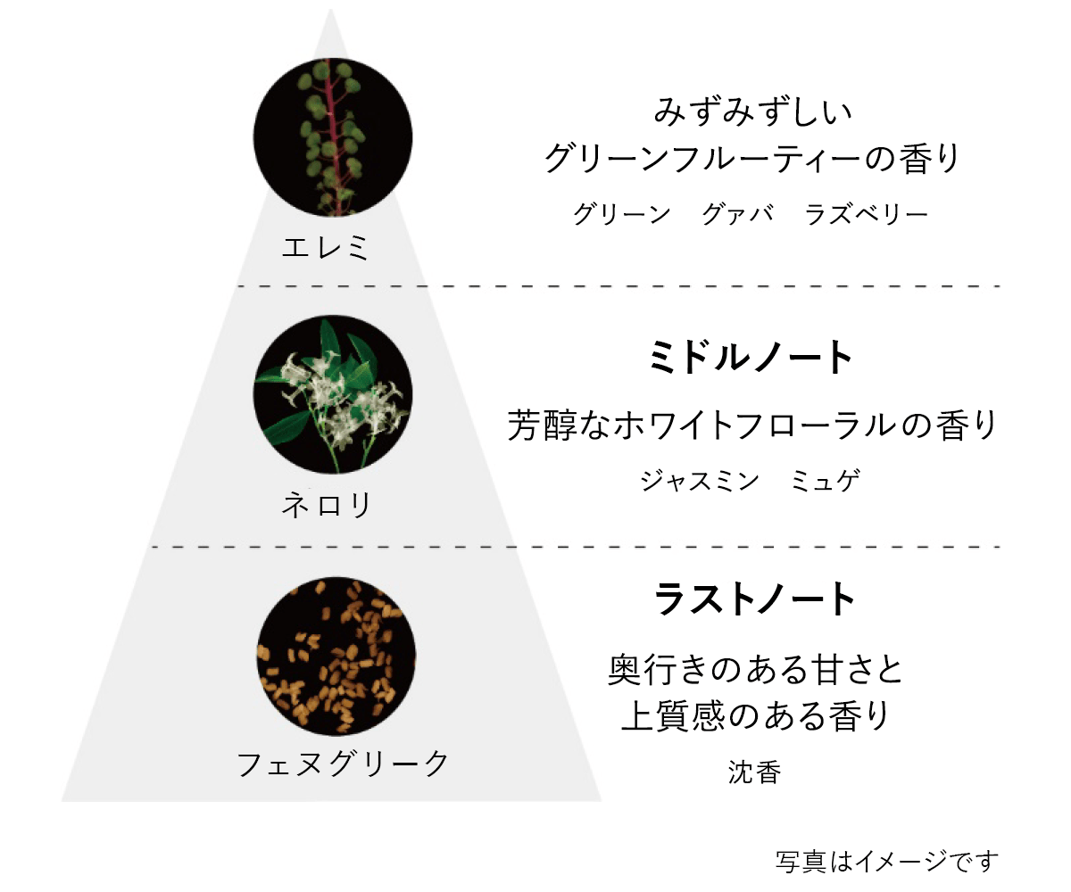 B.A オアシスライト パウダー: 商品詳細 | ポーラ公式 エイジングケア