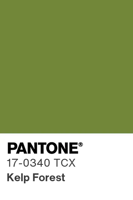 PANTONE® USA | PANTONE® 17-0340 TCX - Find a Pantone Color | Quick