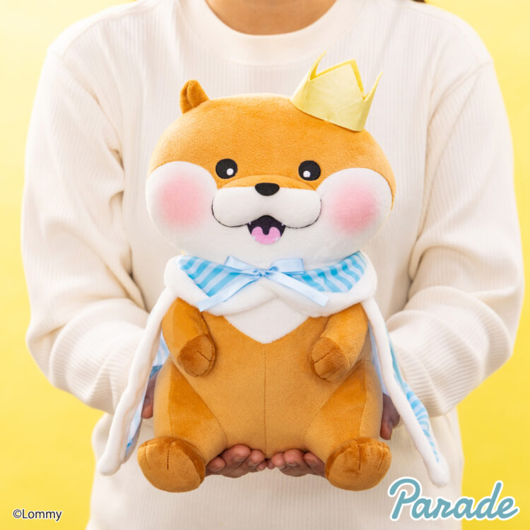 kawaiiusonokawauso_tanzyoubida