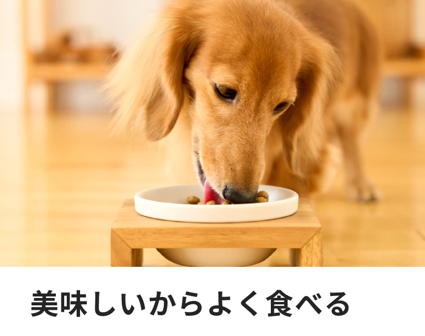 犬用ハートケア｜Dr.'s（ドクターズ）| ペットライン