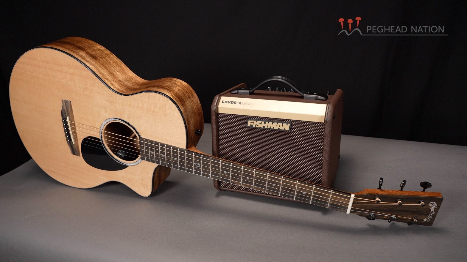 Fishman Neo-D Pickups - Peghead Nation