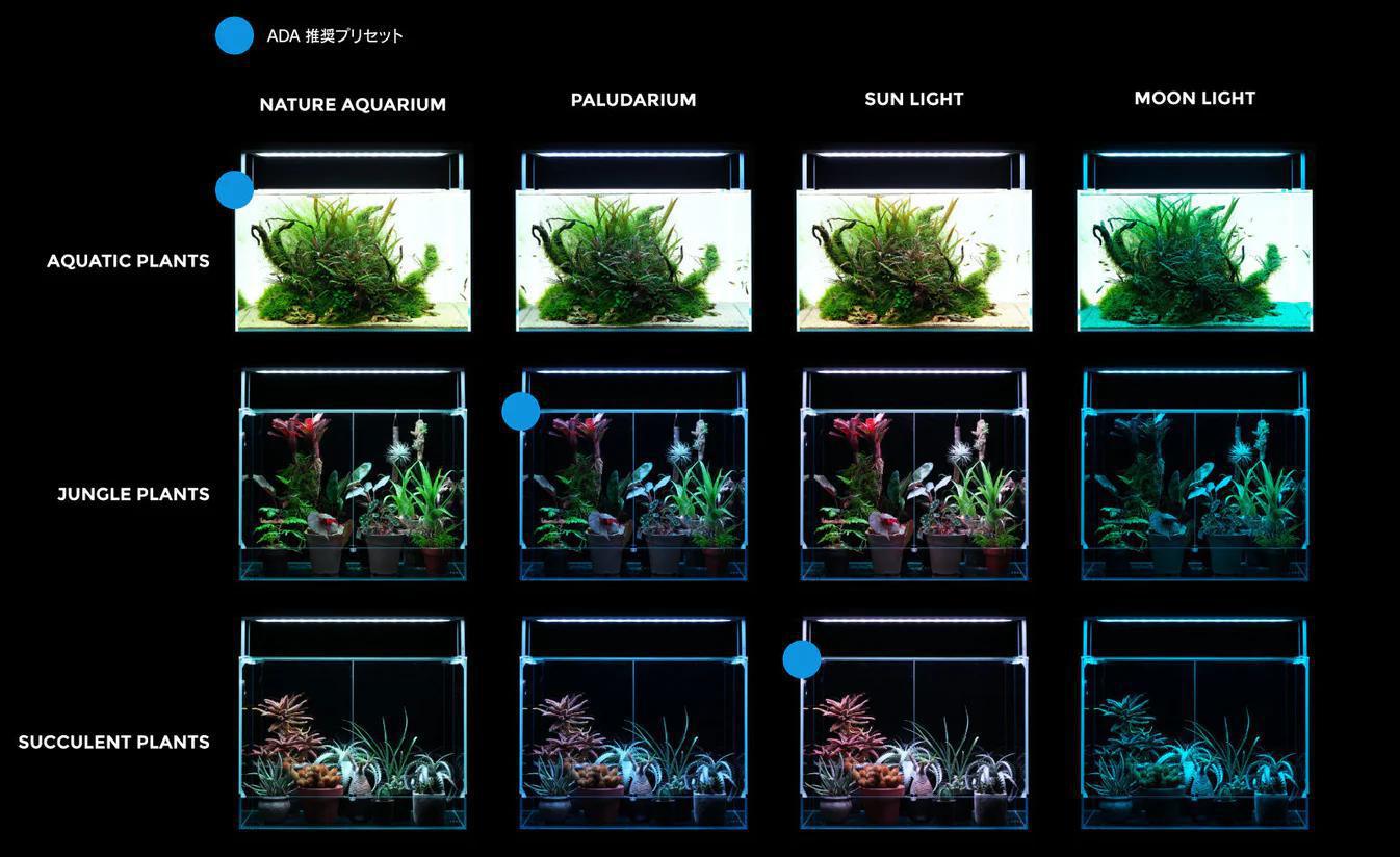 ADA Aquasky RGB II 60 - Planted Aquaria - Bring Nature Home