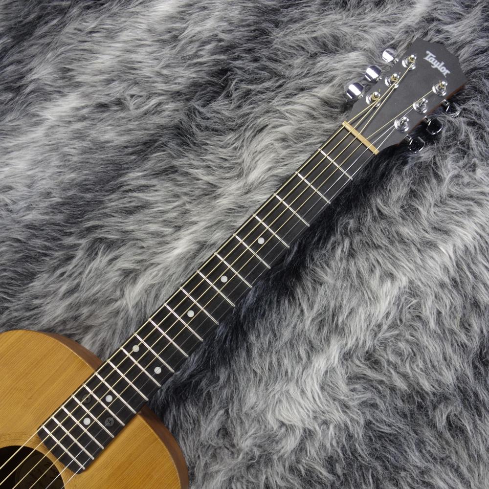 Baby Taylor 301 テイラー 貴重 ベイビーテイラー Taylor Baby Taylor 301-GB
