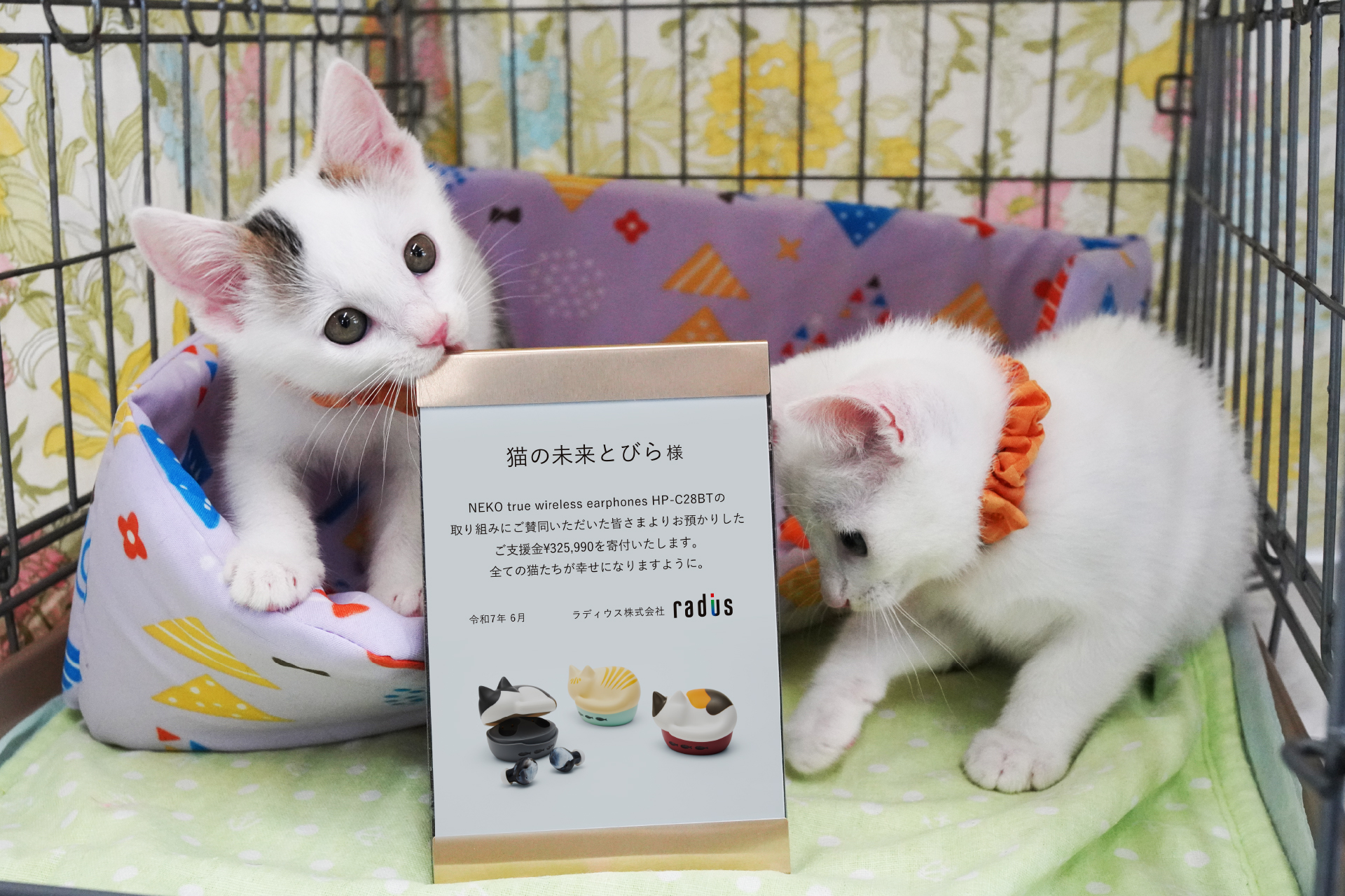 猫をモチーフにした完全ワイヤレスイヤホン 「NEKO true wireless