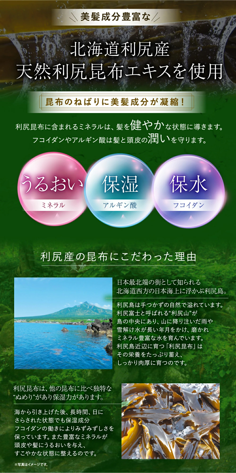 楽天市場】【スーパーSALE限定10%OFF】白髪用 利尻カラークリーム 170g