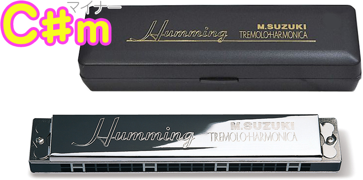 SUZUKI スズキ SU-21 Humming C♯m ハミング 複音ハーモニカ 21穴 日本