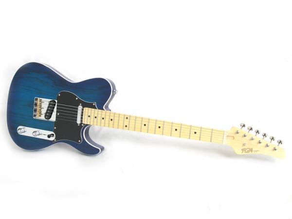 FgN フジゲン JIL2-ASH-M SBB【日本製 フジゲン エレキギター 】 送料