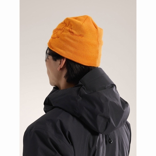 Bird Head Toque （バード ヘッド トーク）ARC`TERYX（アークテリクス