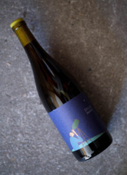 10R WINERY（トアール ワイナリー） アーカイブ - 富屋酒店 名古屋