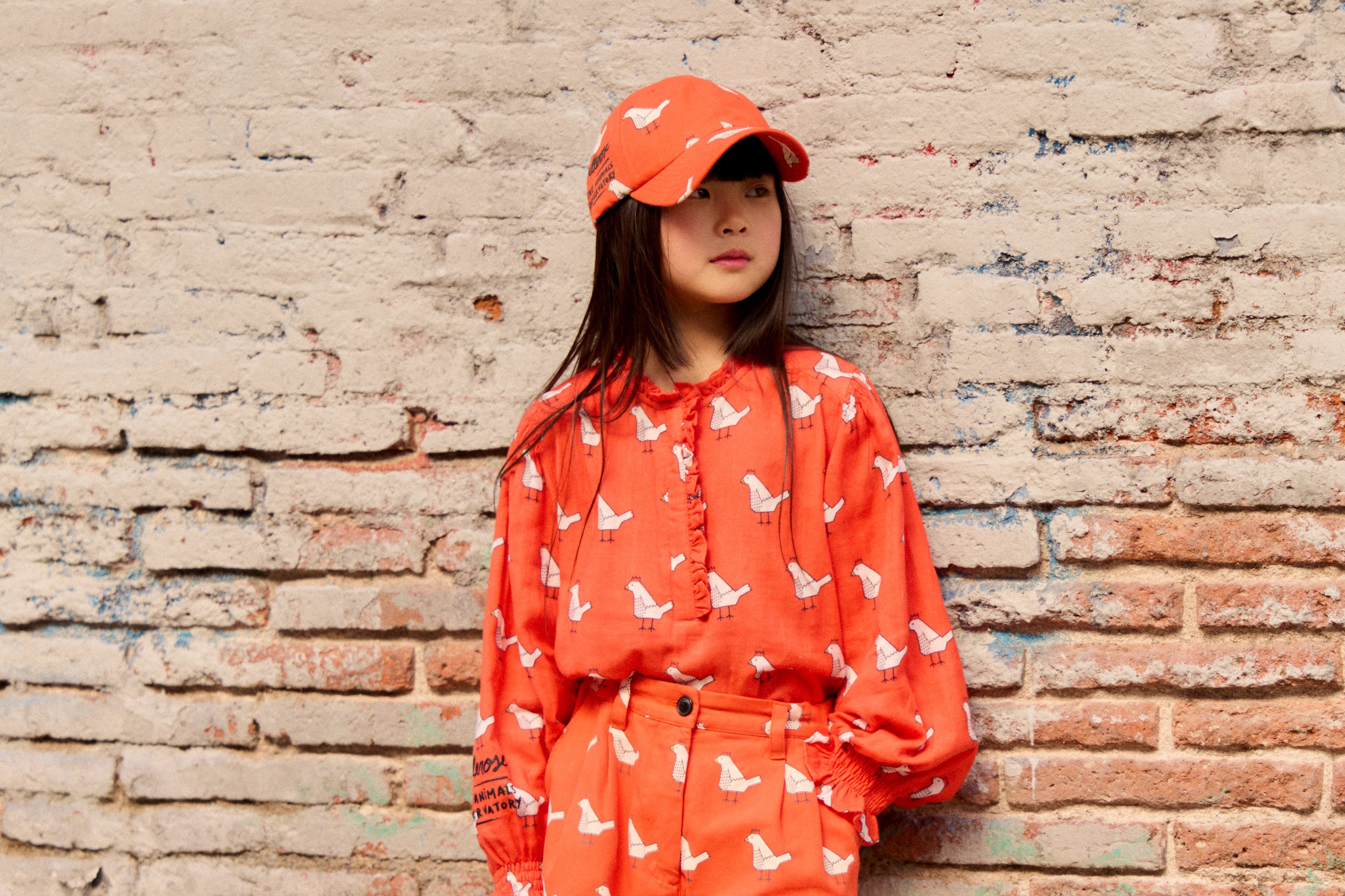 The Animals Observatory x Bellerose
