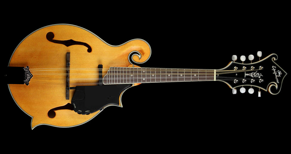 Used MM-50E F-Style Mandolin | The Music Zoo