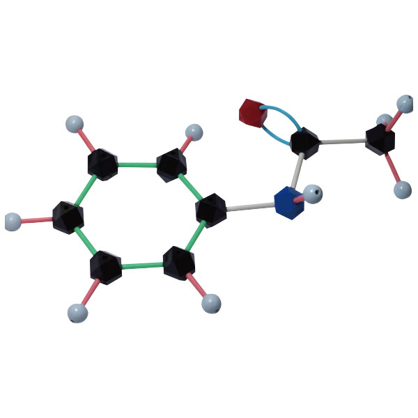 UCHIDASウチダスHGS分子構造模型 C型セット 有機化学実習用