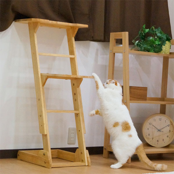 ドギーマン 木製 猫専用見晴らし台 [猫] / 送料無料 | 通販