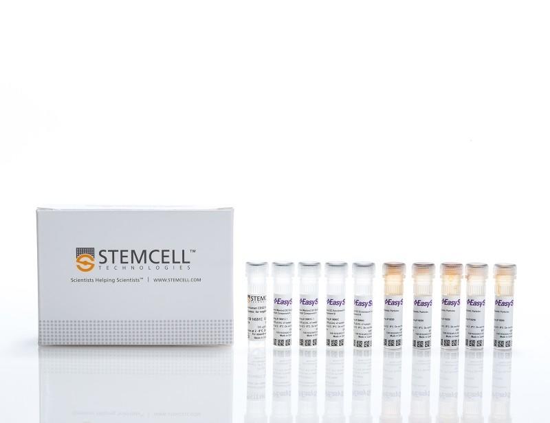 EasySep Neg Human Myeloid DC Kit | 製品情報 | ベリタス