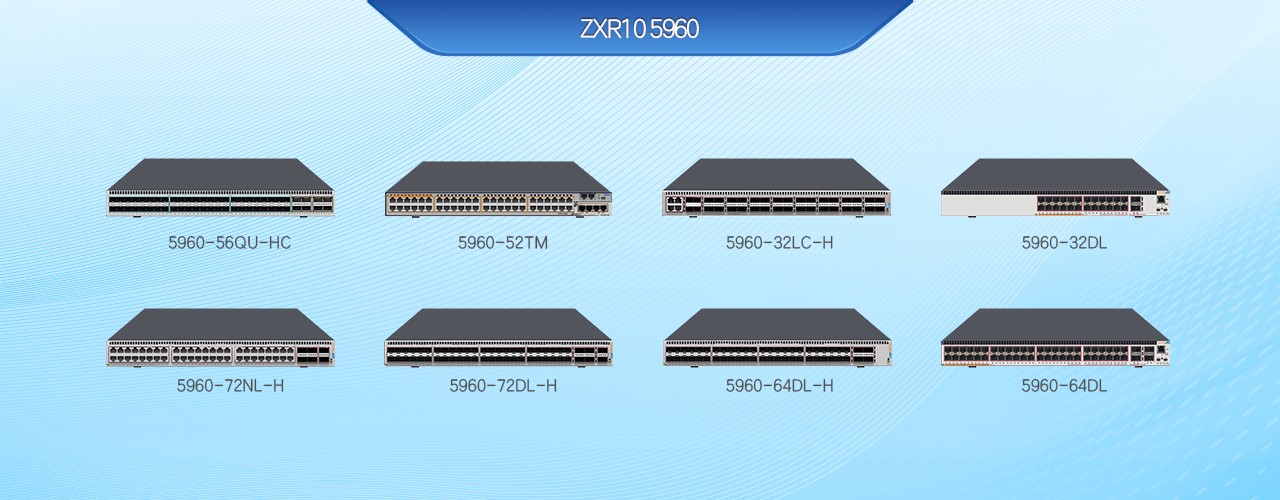 ZXR10 5960
