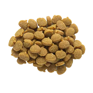 Mini Naturals Turkey & Pumpkin Dog Training Treats | Zuke's
