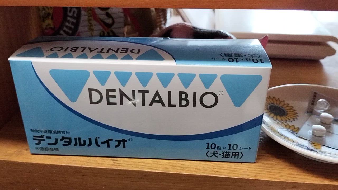 あすつく】【デンタルバイオ 100粒(10粒×10シート)×1箱】犬猫【共立