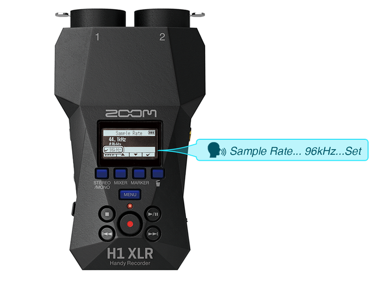 H1 XLR | ZOOM