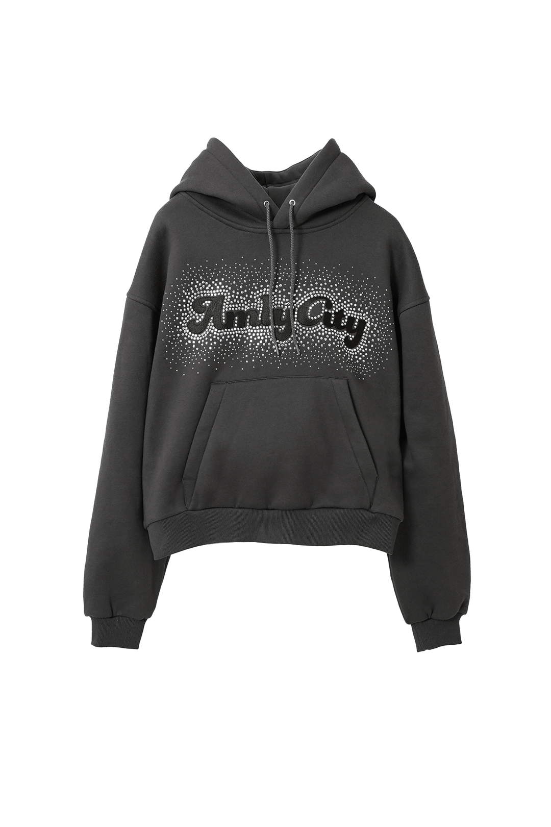 ラインストーンフーディー – AmlyCity