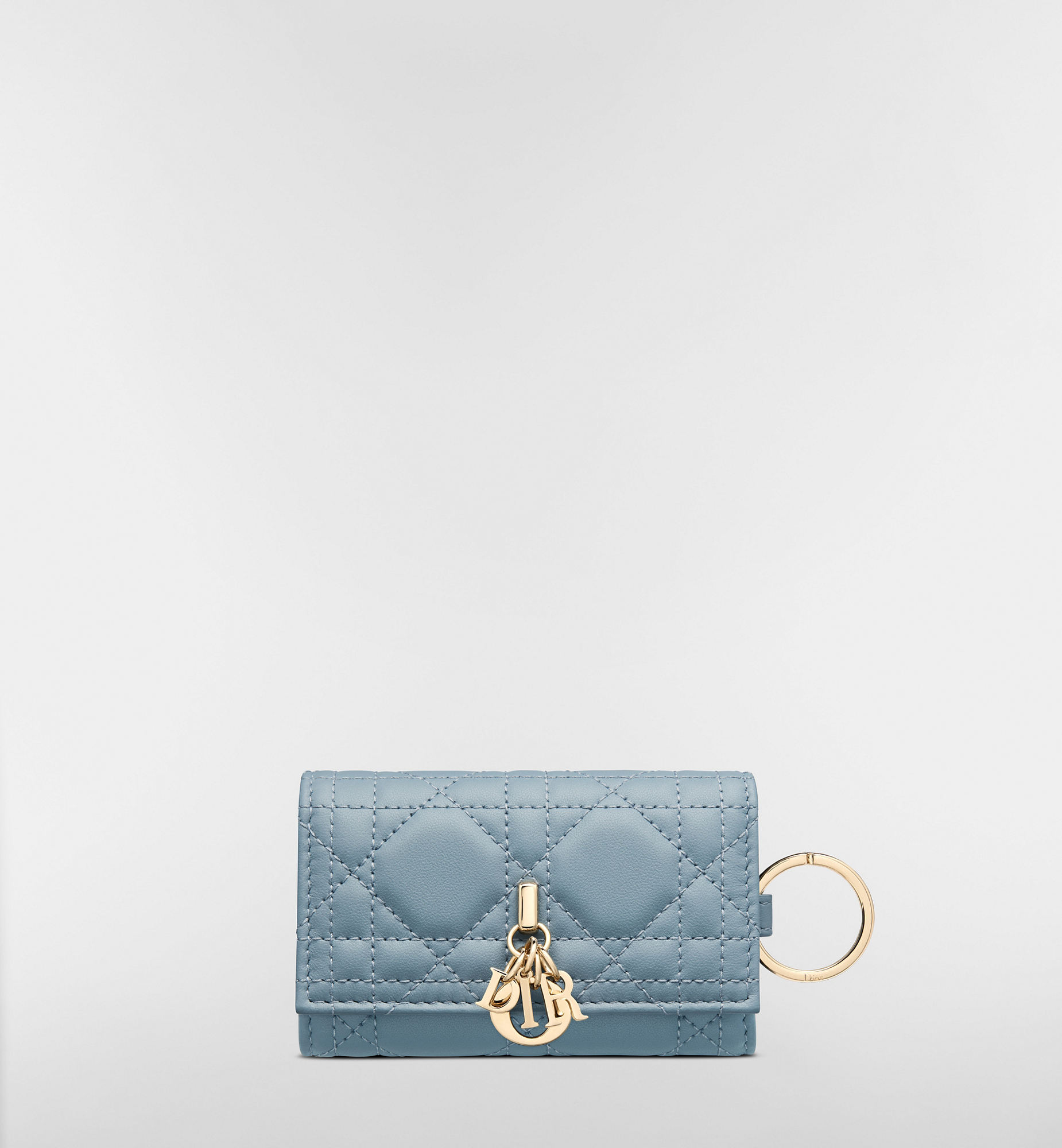 DIOR | 【日本限定】My Dior Aster キーケース カナージュ ラムスキン