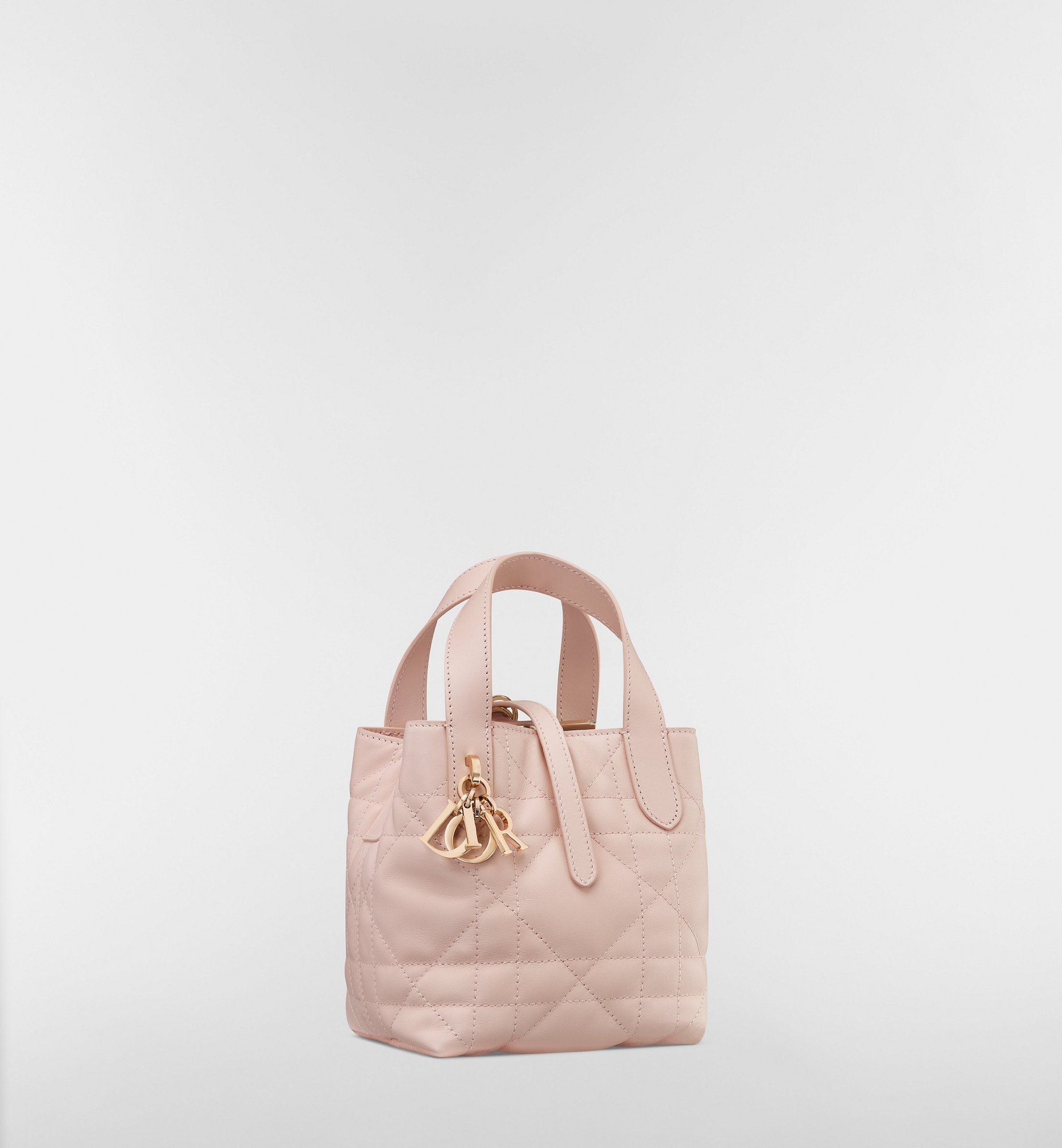 DIOR | Dior Toujours バーティカル Nanoトートバッグ マクロ