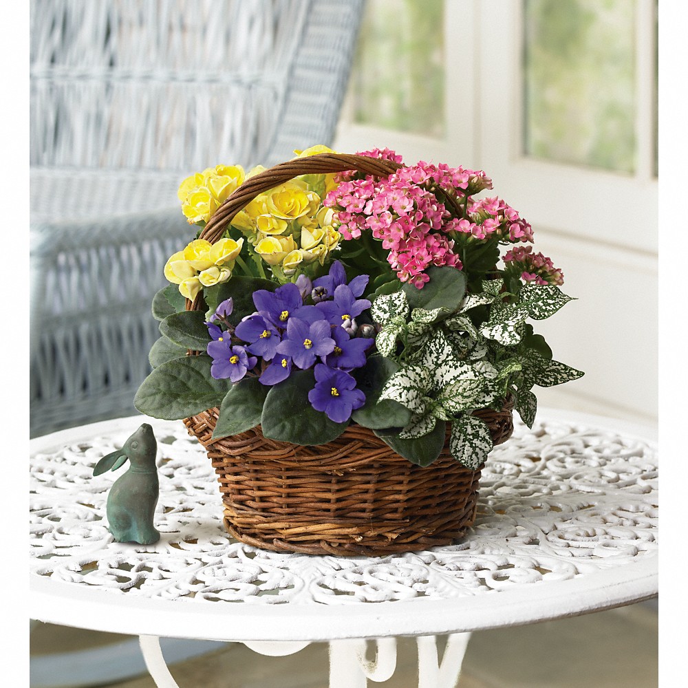 Spring Has Sprung Mixed Basket in Waseca MN - Waseca Floral