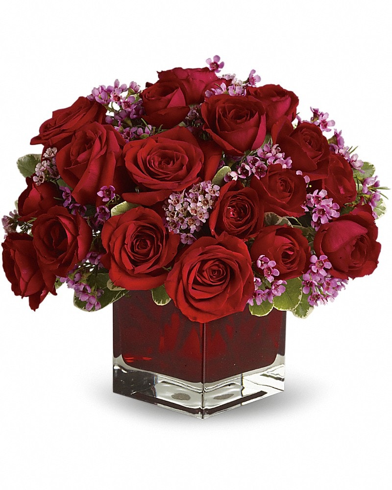 Never Let Go by Teleflora - 18 Red Roses in Gaithersburg MD