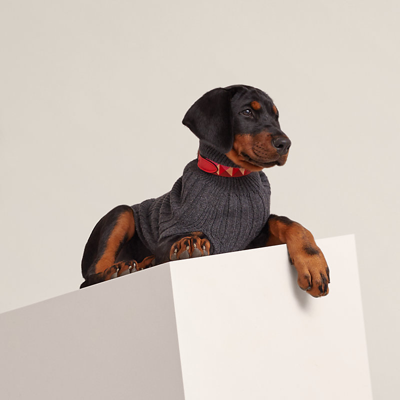 犬用ニット | Hermès - エルメス-公式サイト