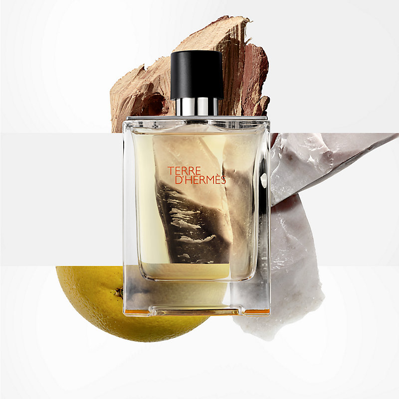 Terre d'Hermes Eau de toilette - 3.38 fl.oz | Hermès USA