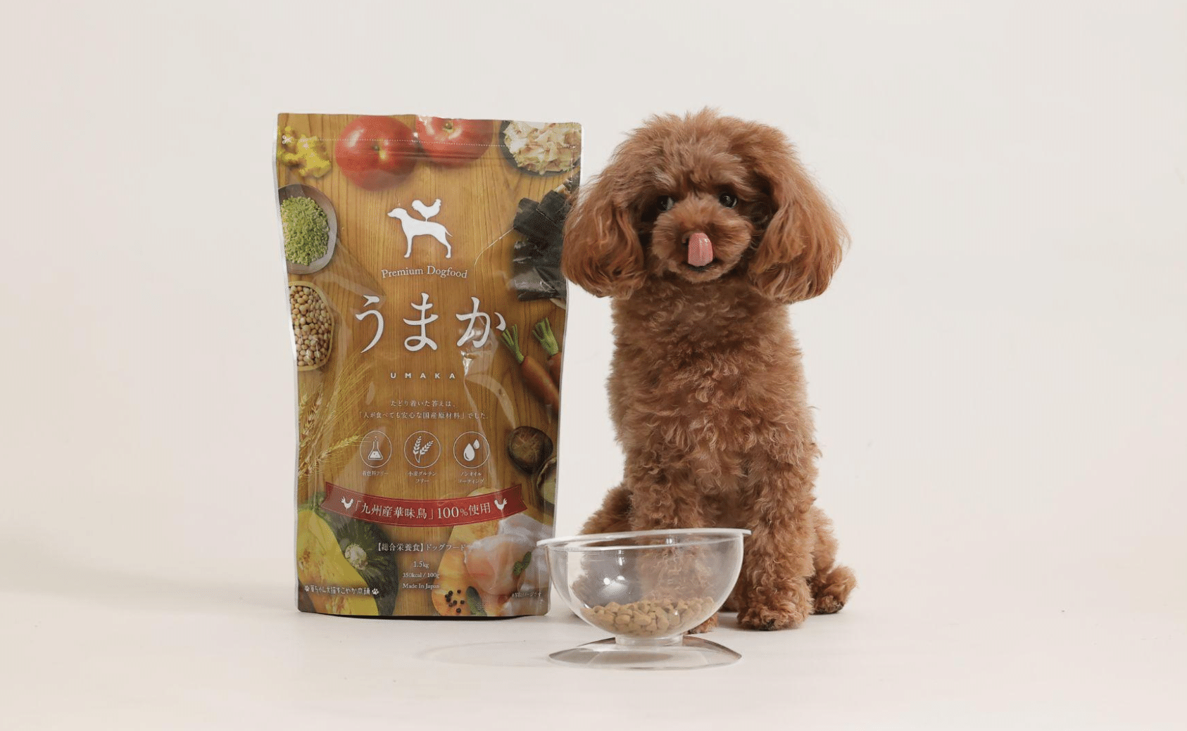 メーカーさんに聞く！ー水たき料亭がつくったドッグフード！？-『うま