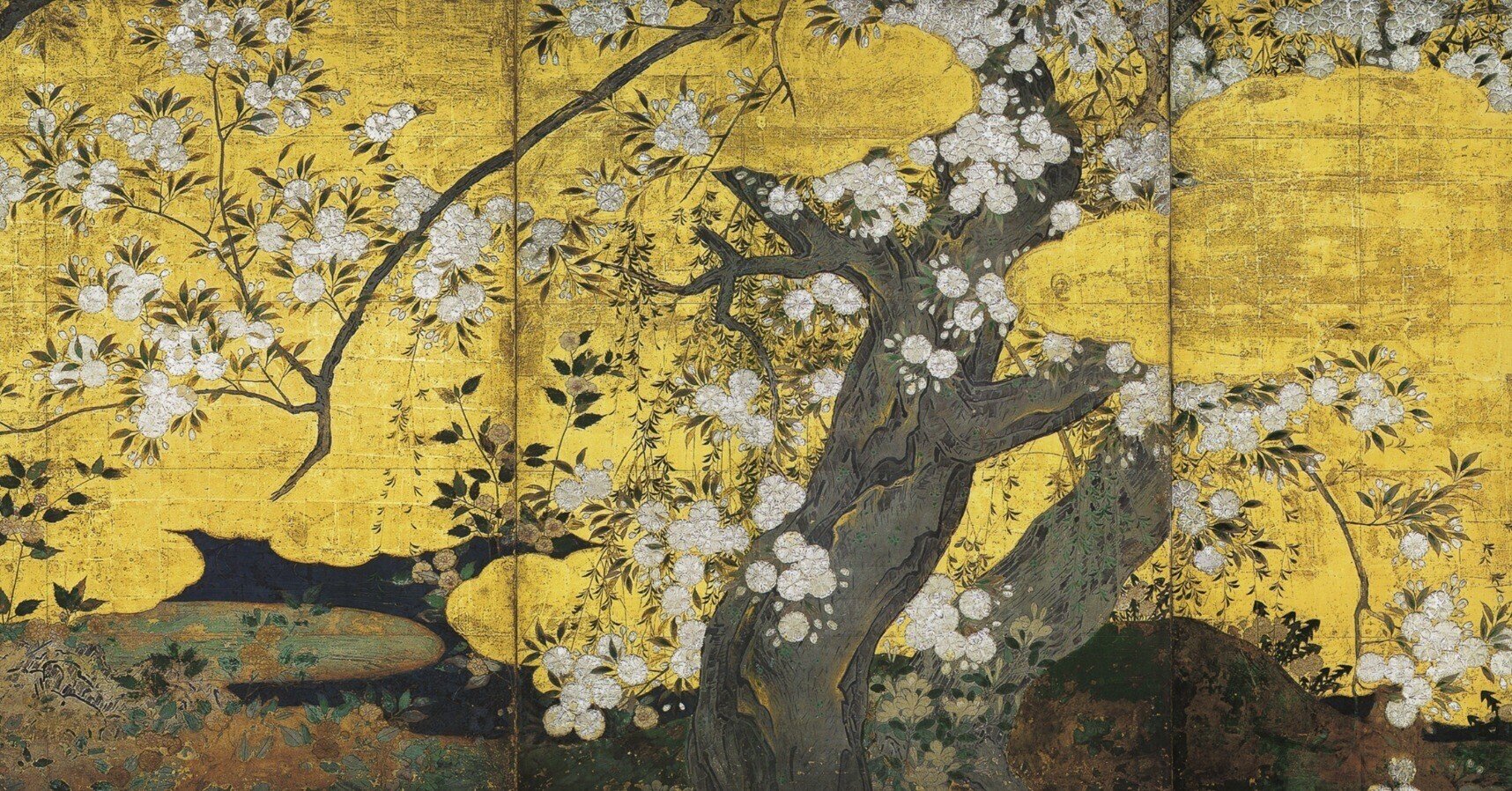 日本絵画歳時記 桜（2）｜椿 吾十