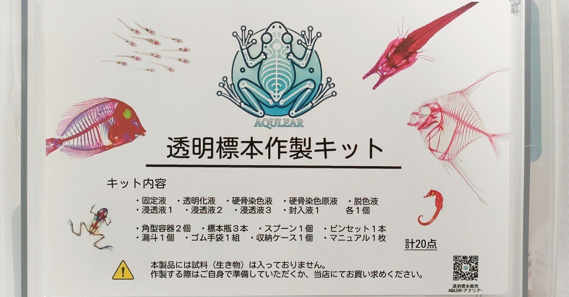 当店オリジナル【透明標本作製キット】（上級）作製マニュアル+補助