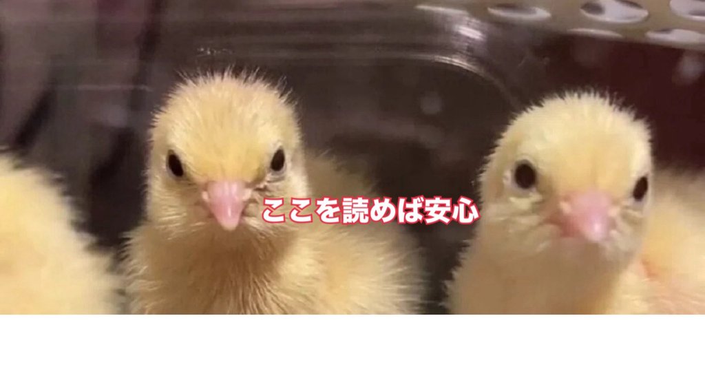 ひめうずら飼育カリキュラム - 2022-08｜ひめうずら研究室｜note