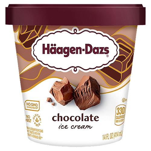 Häagen-Dazs Chocolate Ice Cream, 14 fl oz - Price Rite