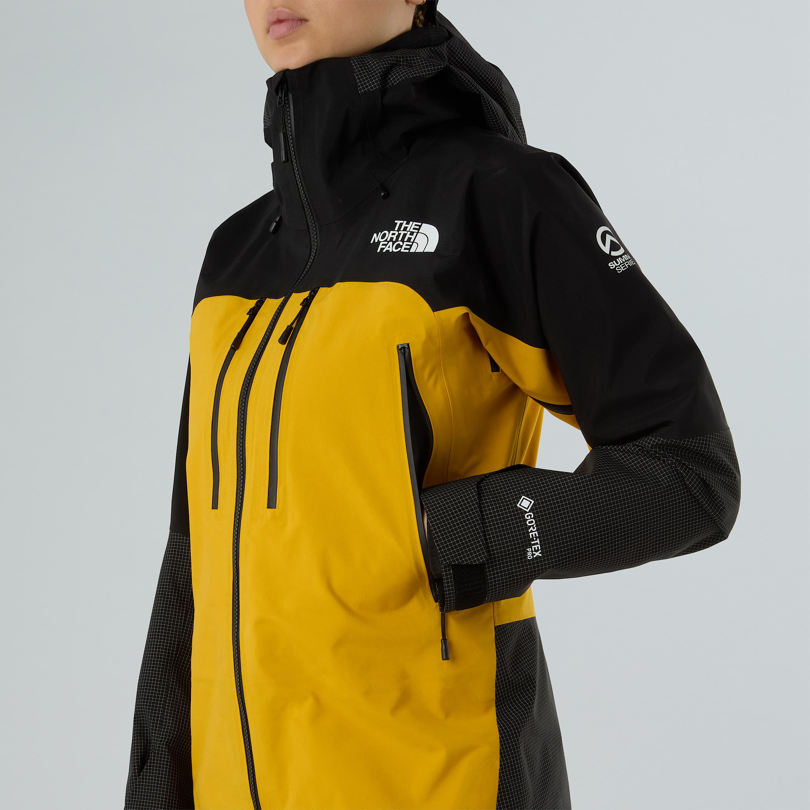 Women's Summit Mountain GORE-TEX® Pro Jacket | The North Face FI
