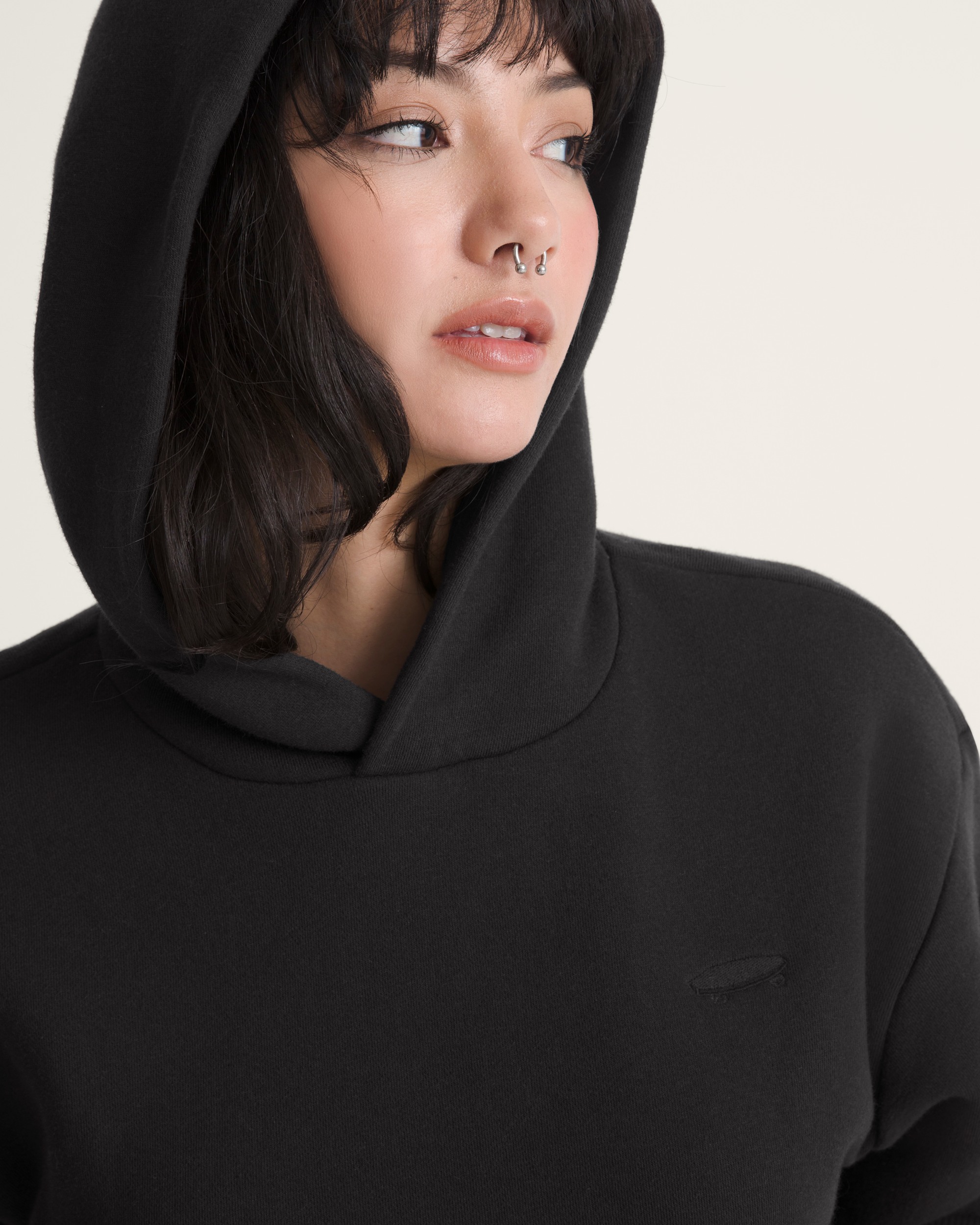 Salton Pullover Hoodie in Black | Vans