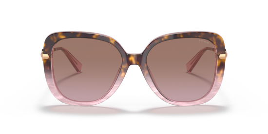 Sunglasses Coach HC8320 C6180 | Free Shipping | Glasses.com®