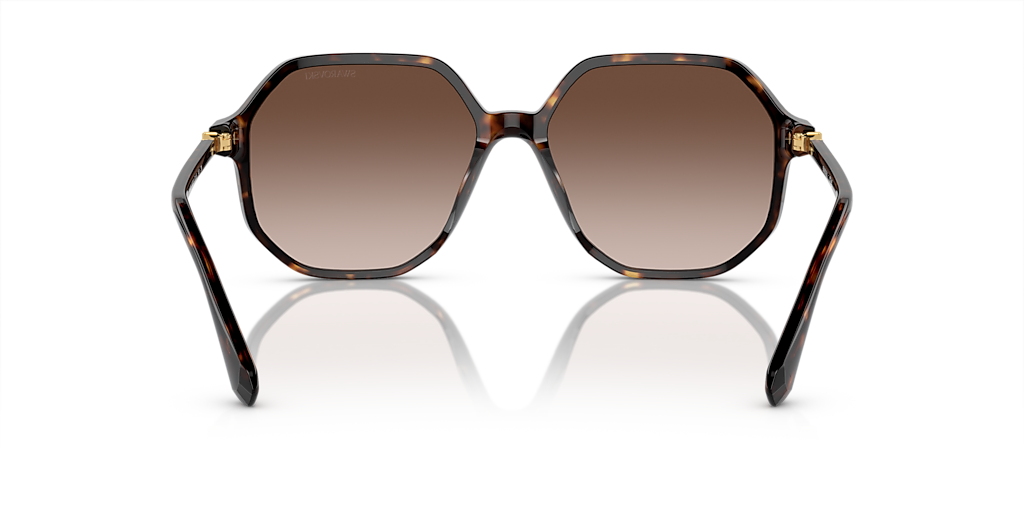 Swarovski SK6003 XL (57 - 16) with Brown lenses and Tortoise frame