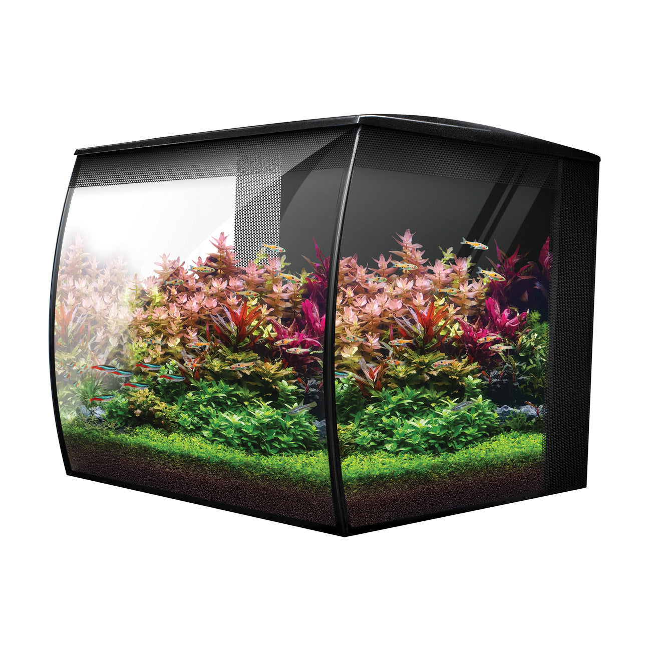 Fluval Flex 2.0 Aquarium – 34 Litre Freshwater Tank – Aquacadabra