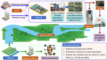 Per– and polyfluoroalkyl substances (PFAS) in wastewater treatment