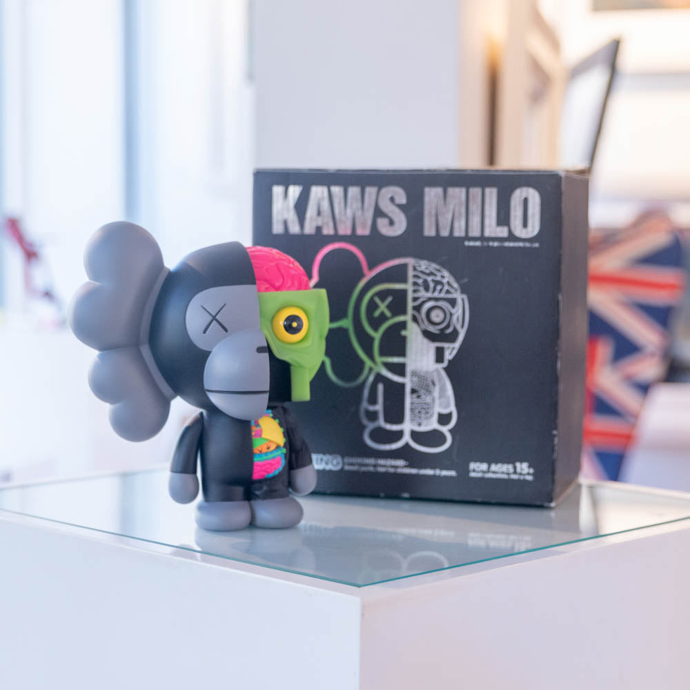 kaws_-