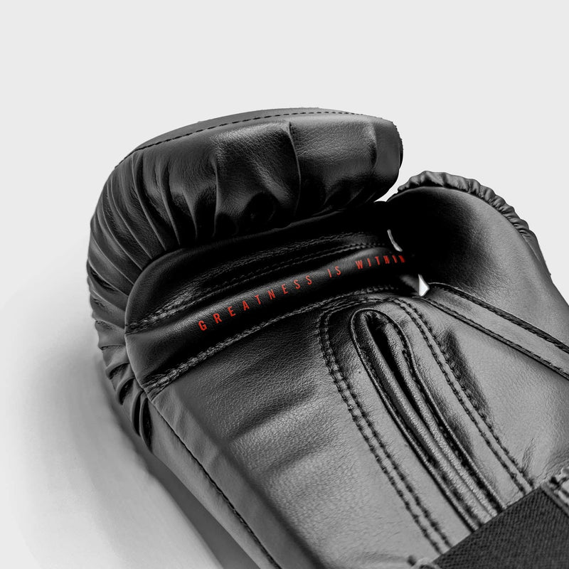 Everlast Elite Hook and Loop Training Gloves | Everlast Boxing