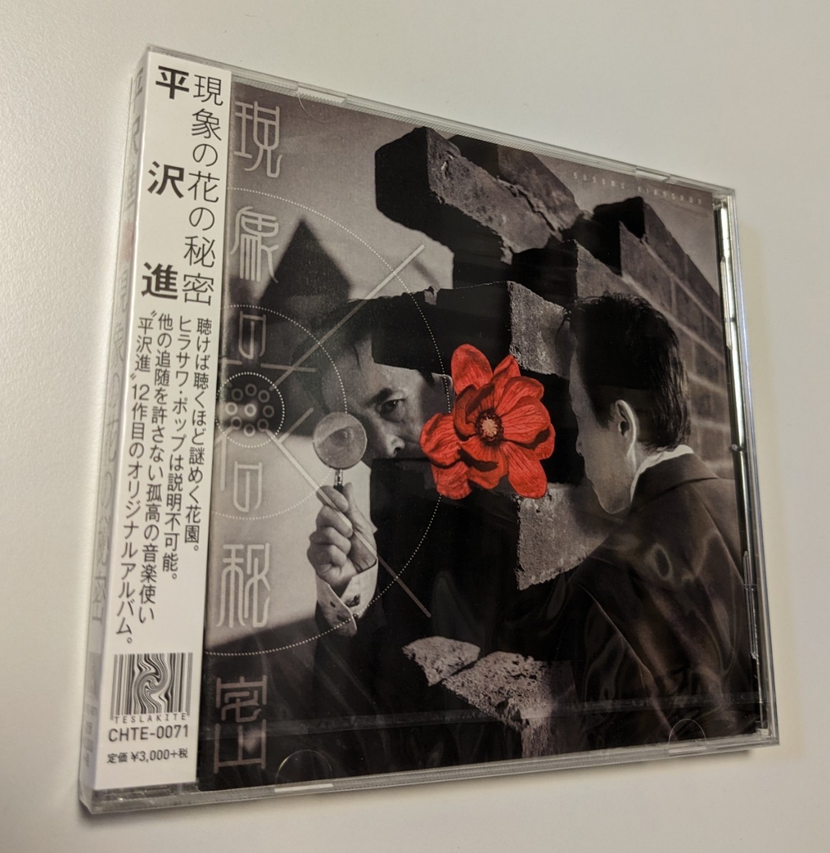 新品未使用】核P-model 平沢進 アコードマフラー｜Yahoo!フリマ（旧