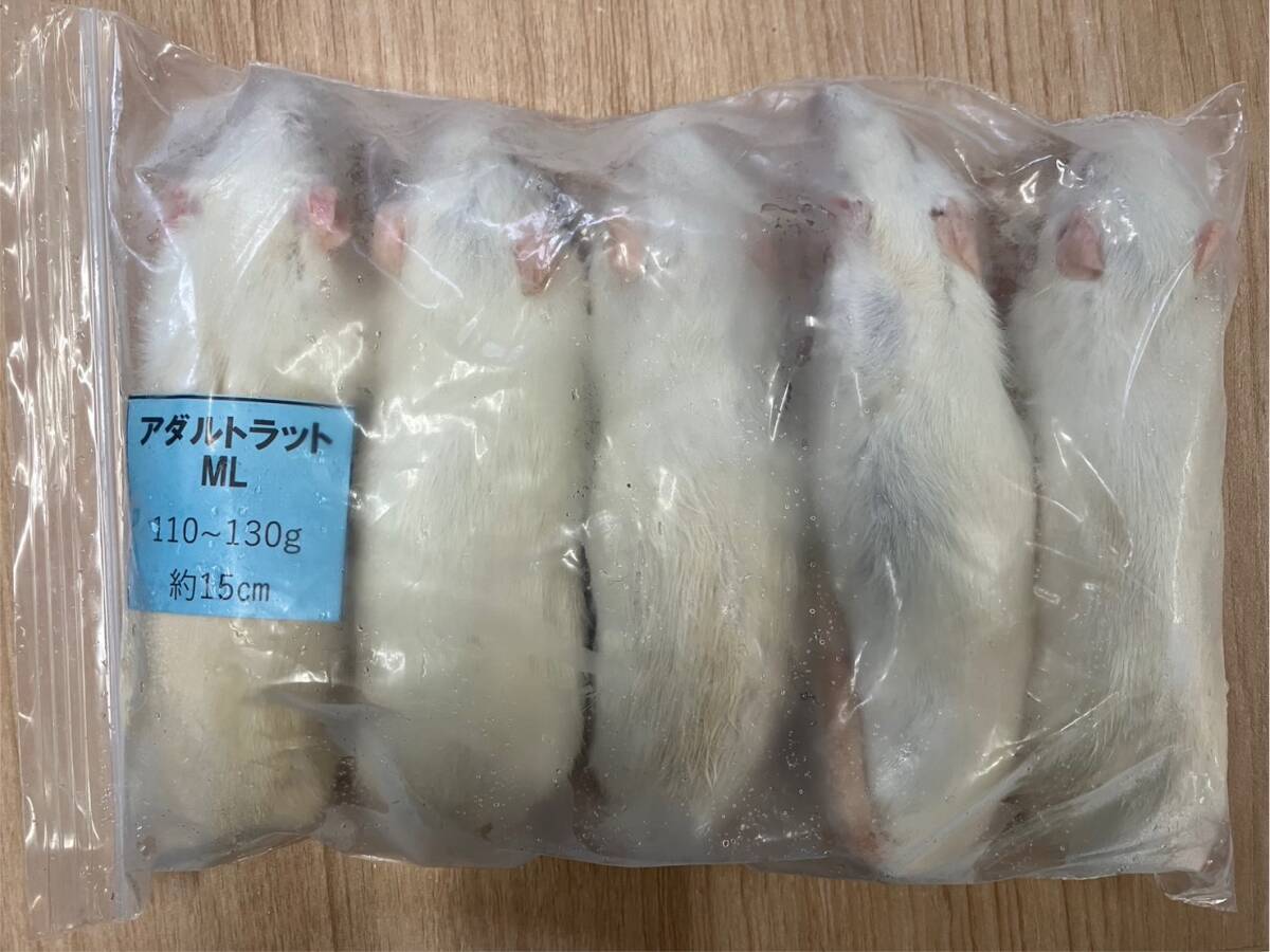 2026年最新】冷凍ラットの商品一覧｜爬虫類・猛禽類に適したエサ