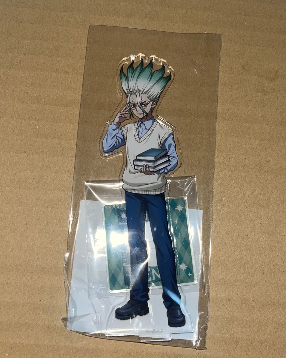 Dr STONE 缶バッジ 石神 千空 ドクスト ドクターストーン 秋の読書編